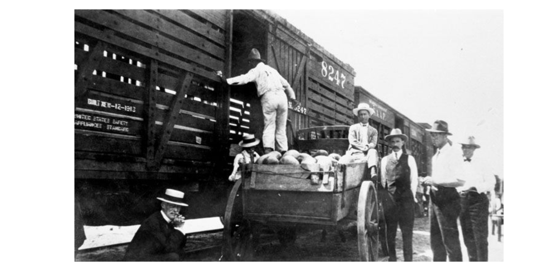 Loading Watermelons Falfurrias UTSA Special Collections